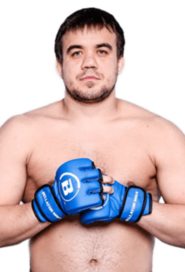 Владимир Федин