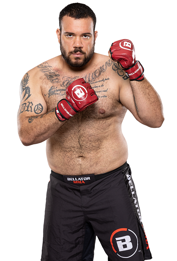 Wladmir Gouvea