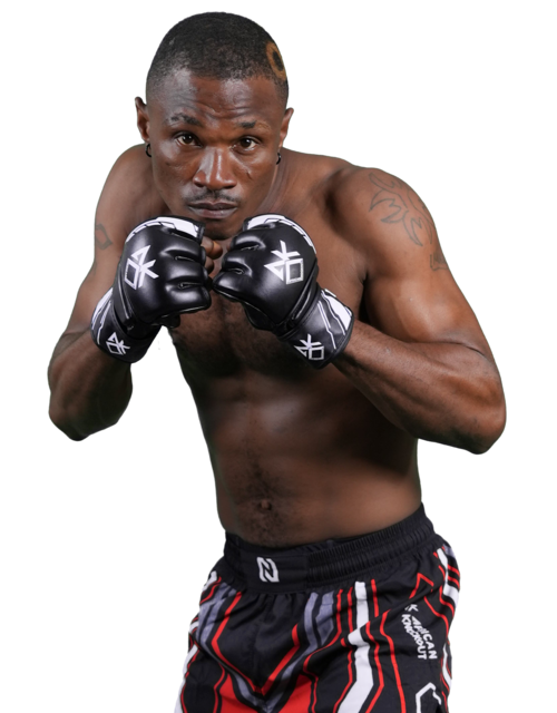 Chukwuemerie Okoli