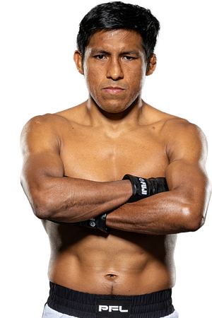 Enrique Barzola