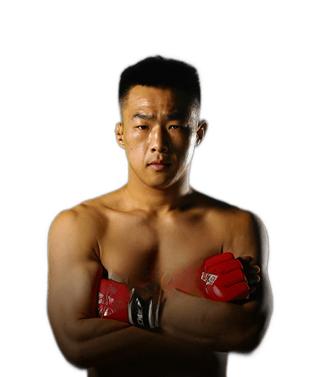 ShengHui Chen