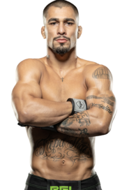 Gabriel Alves Braga
