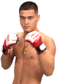 DMITRIY MIKHAILIDI