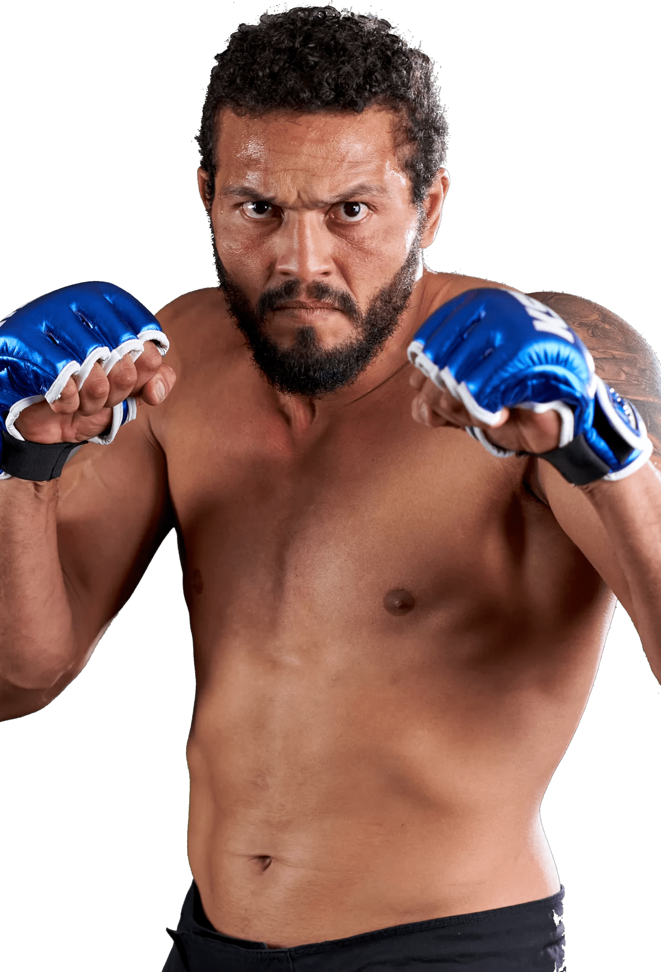 Luis Henrique da Silva