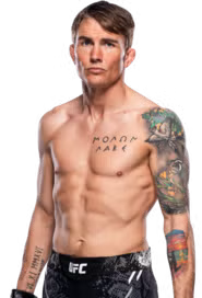 Cody Gibson