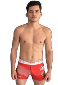 Apollo Gomes