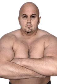 Аднан Алик