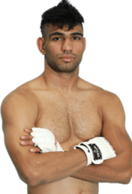 Sajjad Zebarjad