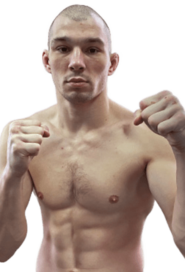 Дмитрий Шестаков