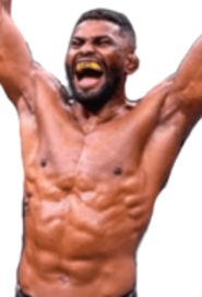 Ednilson Santos