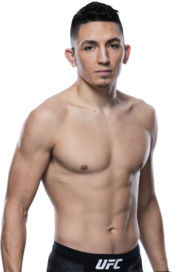 Vince Morales