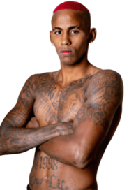 Gustavo Sousa
