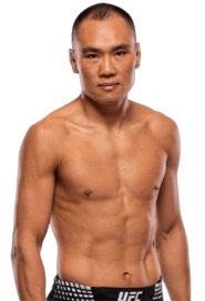 Ding Meng