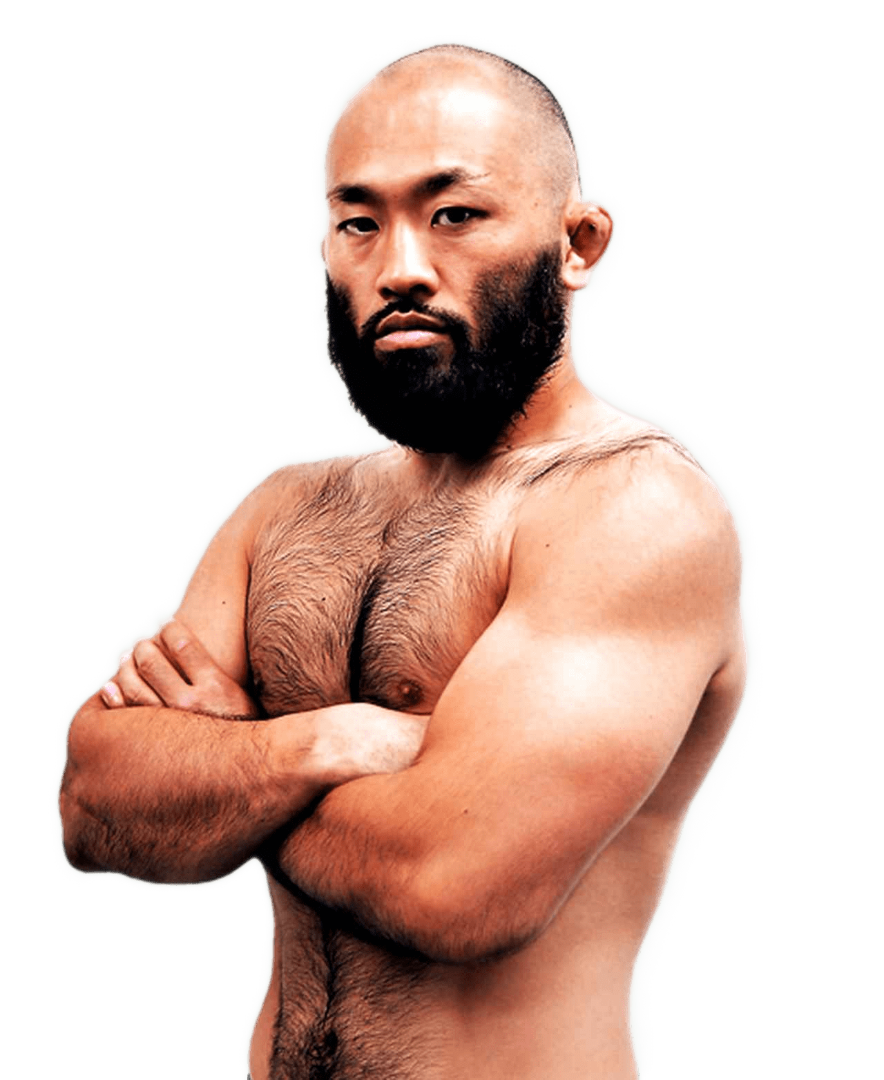 Shinsho Anzai