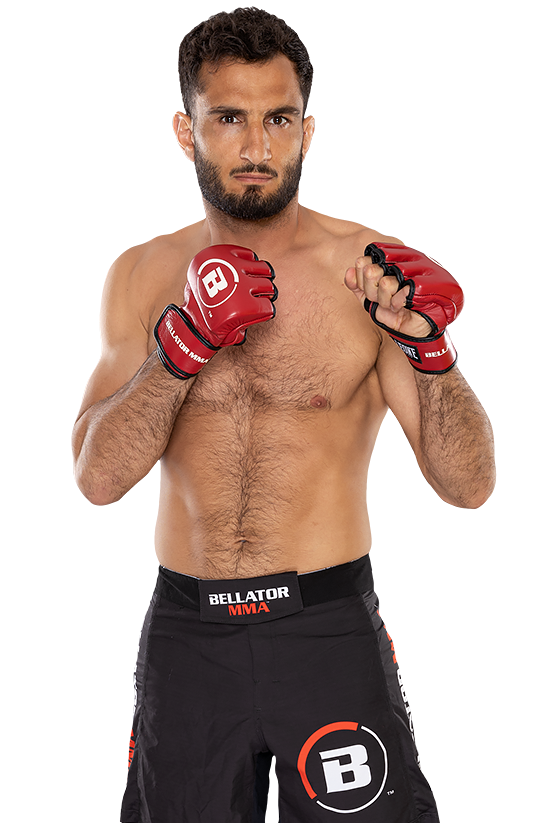 Gegard Mousasi
