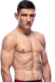Damir Hadzovic
