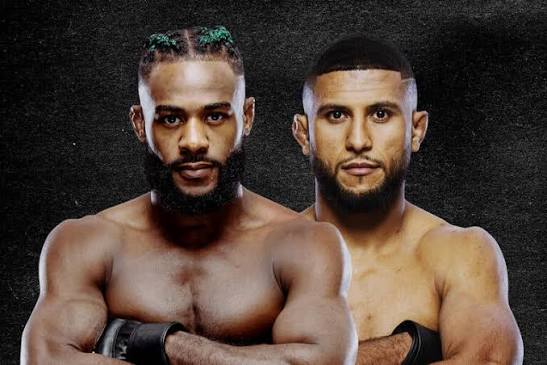 UFC Fight Night: Стерлинг vs. Залал