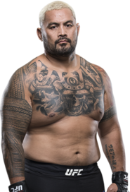 Mark Hunt