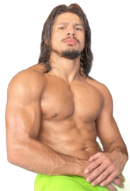 Ary Farias