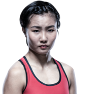 Feng Xiaocan