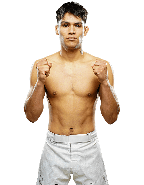 Erik Mendez